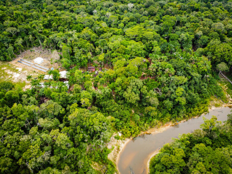 Energia solar fortalece empreendedorismo sustentável em comunidades no Amazonas