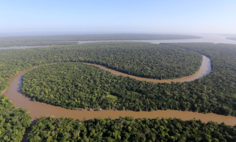 Lideranças indígenas e especialistas em clima e educação dialogam sobre soluções para a Amazônia em evento internacional