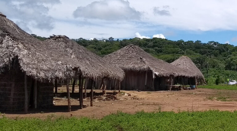 Conflitos de terra causam um terço das mortes de quilombolas; Maranhão é o que mais perdeu