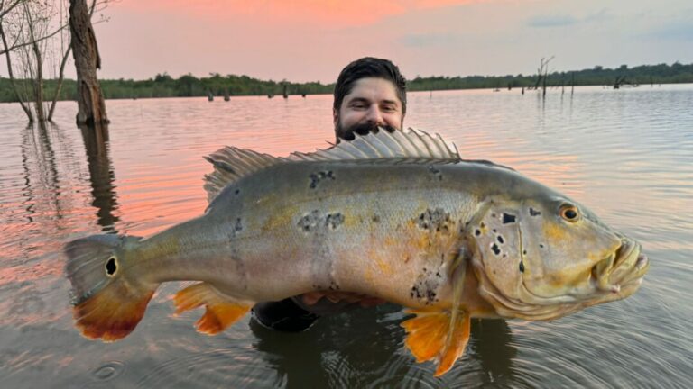 Pescador esportivo de São Paulo bate recorde brasileiro em Borba, no Amazonas