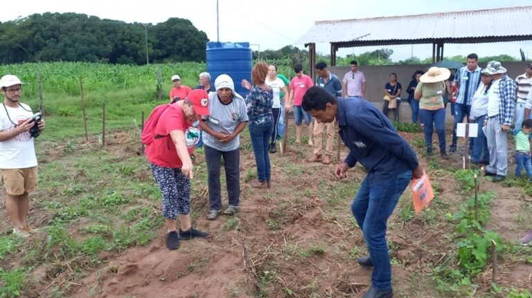 Agroecologia pode aliviar efeito da crise climática e gerar renda, apontam pesquisadores