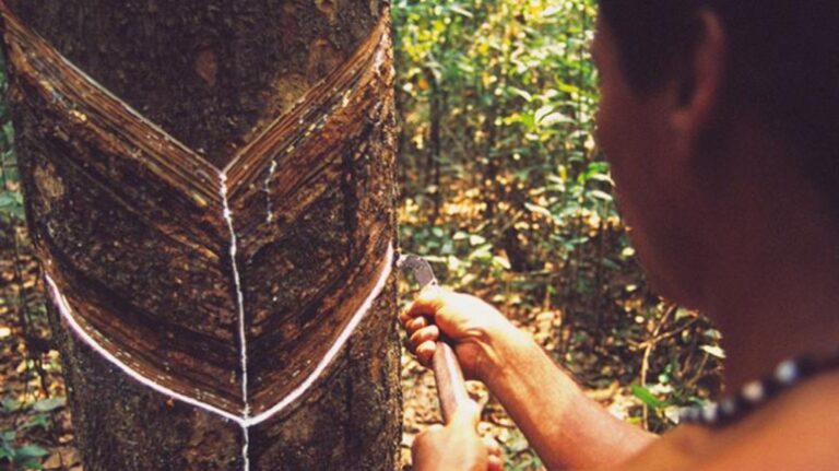 Solução econômica também é uma das demandas da Amazônia 