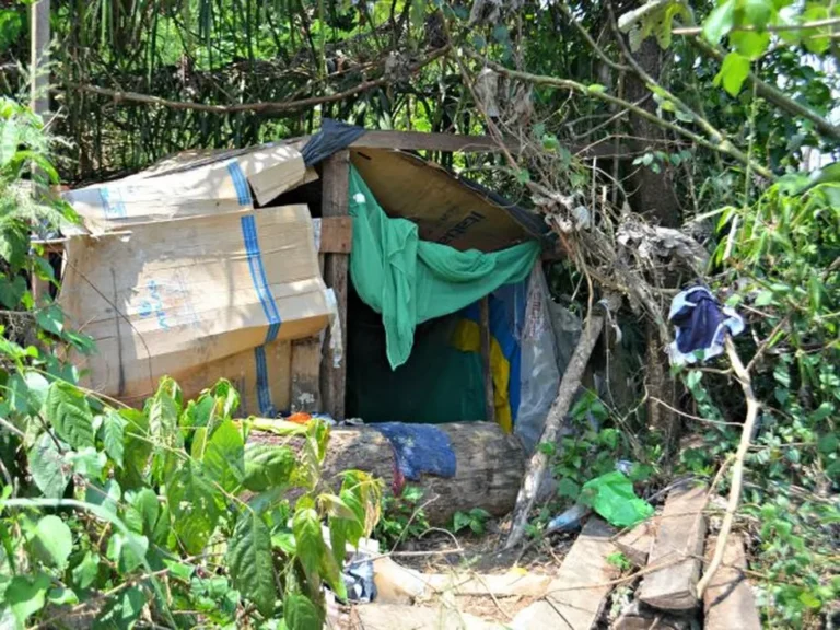 Mais de 500 pessoas moravam em casas improvisadas no Acre em 2022, aponta IBGE