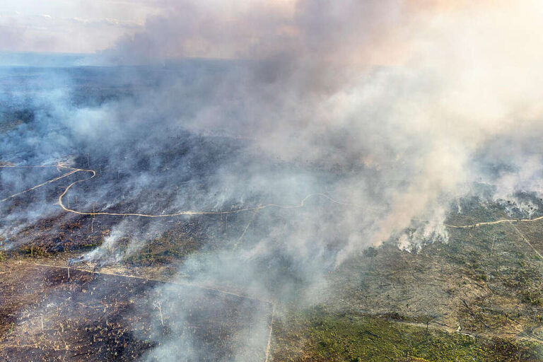 Greenpeace Brasil analisa relação entre crédito rural, multas ambientais e o fogo