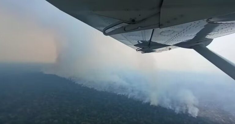 Estação ecológica é consumida por incêndios há mais de 2 meses em Rondônia