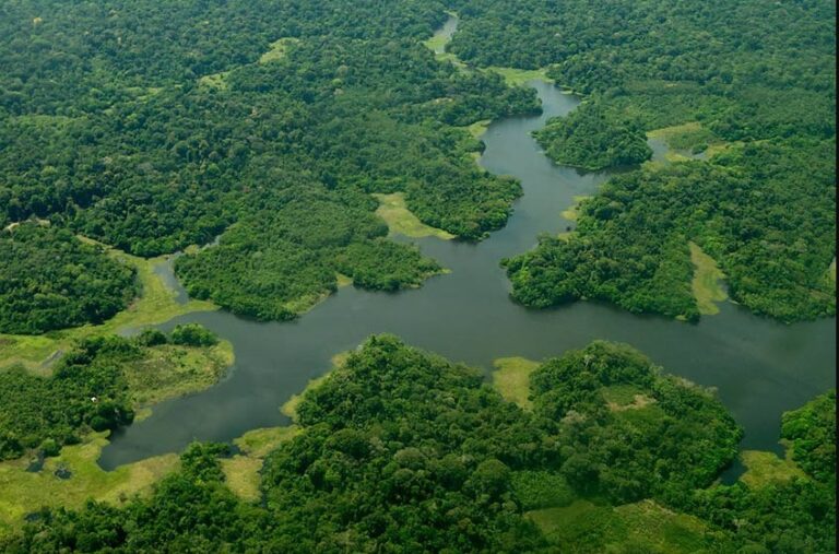 Comissão analisa uso de arrecadação do petróleo para proteção da Amazônia