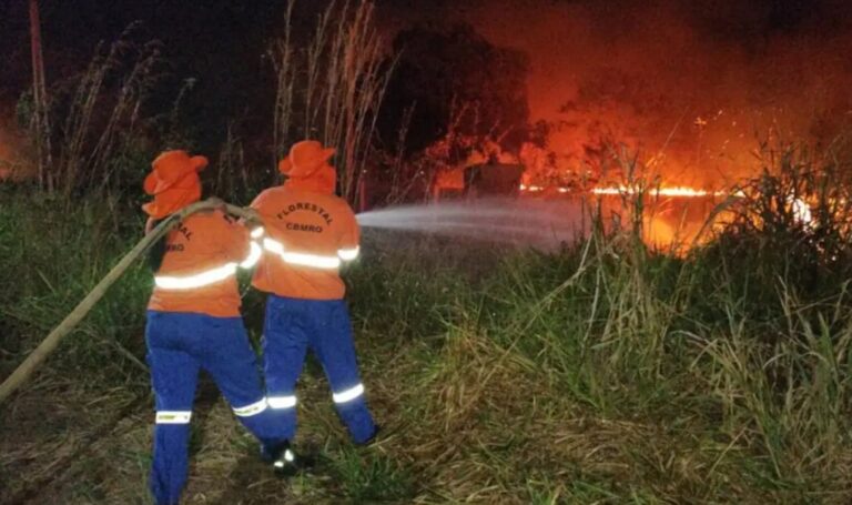 Situação de emergência por incêndio florestal cresceu 354% em agosto