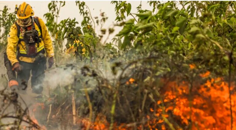 Brasil já registrou mais de 154 mil focos de calor este ano