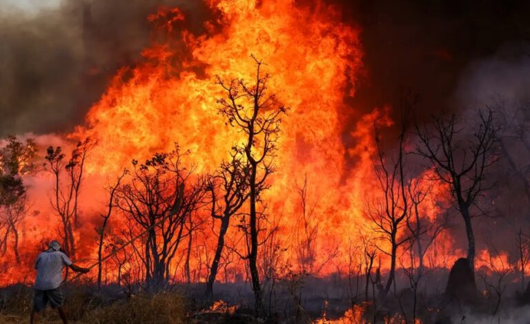 Especialista fala sobre causas e consequências dos incêndios na Amazônia: “proposital”