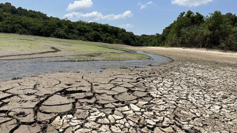 La Niña 2024 responde pela severa crise climática que se abate sobre a Amazônia