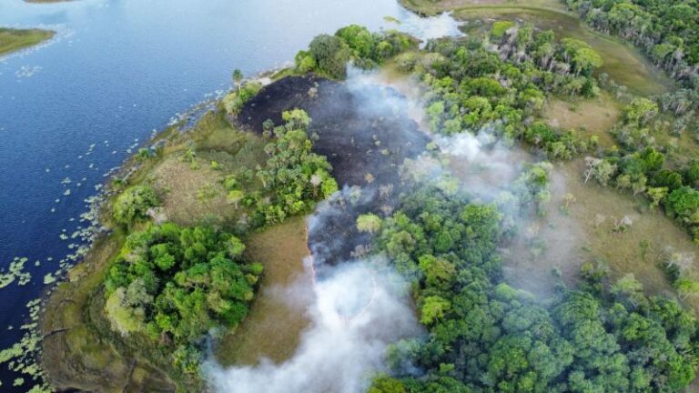 Amapá lidera ranking de redução de focos de incêndio no país