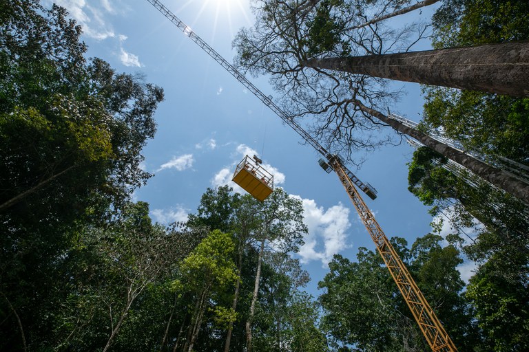 Parceria internacional fomenta projetos sobre a Amazônia e Florestas Tropicais