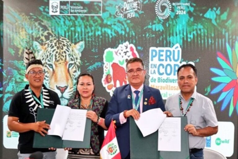 COP 16: comunidades indígenas peruanas realizam iniciativas ligadas à mitigação das mudanças climáticas