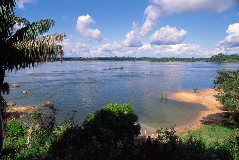 BNDES seleciona projetos de restauração ecológica na bacia do Xingu entre Pará e Mato Grosso