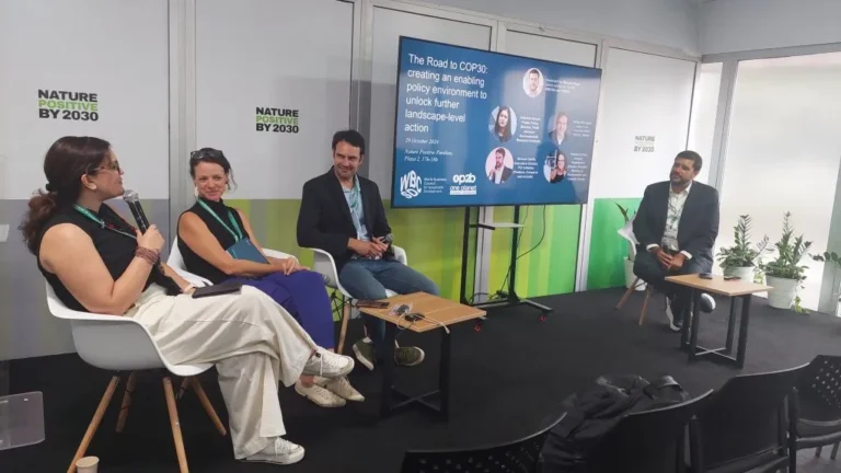 COP16: integração é chave para converter desmatamento em conservação