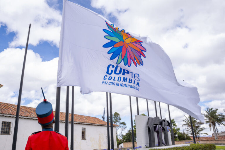 COP16: entenda o que está em jogo na cúpula de biodiversidade da ONU