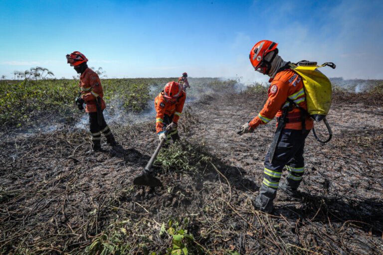 Saiba quais estratégias e técnicas o Corpo de Bombeiros de MT usa no combate aos incêndios florestais