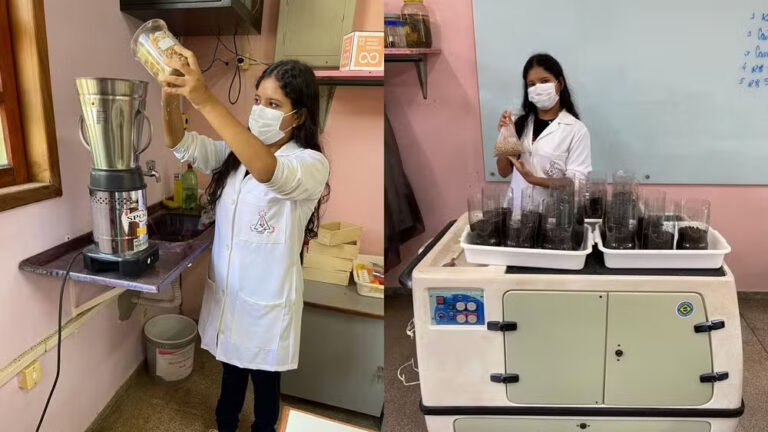 Estudante amapaense cria fertilizante com carcaça de caranguejo