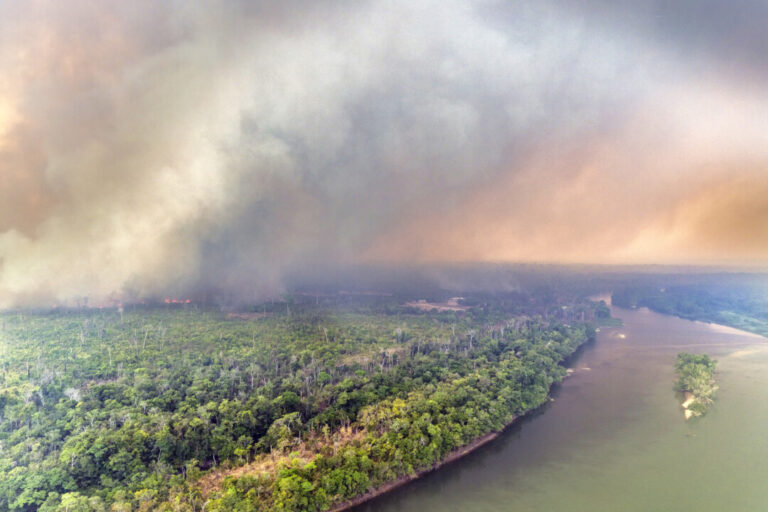 Chamas nas florestas: o que isso significa para os amazônidas?