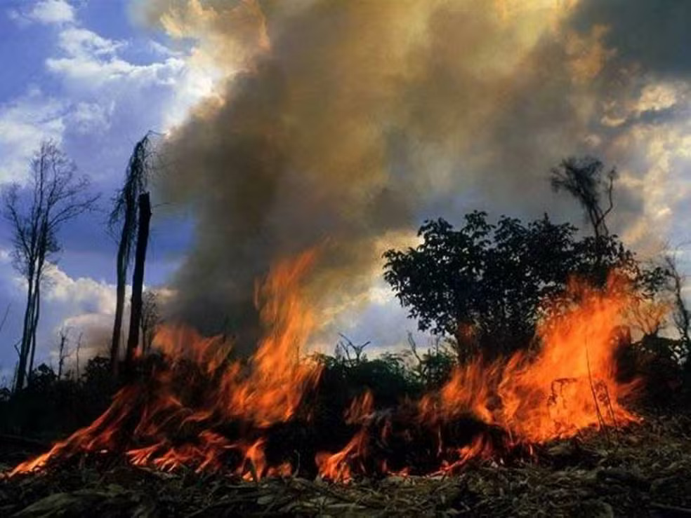 Incêndio em Rondônia Foto Divulgação Secom ro