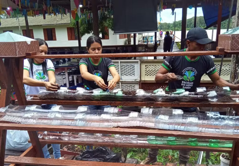 Projeto escolar busca soluções para cultivo de hortaliças durante salinização da água no Bailique