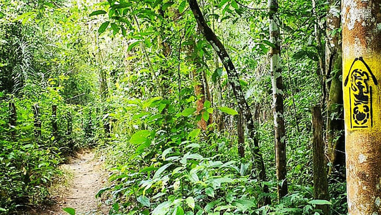 Trilha Amazônia Atlântica passa a integrar Rede Nacional de Trilhas de Longo Curso 