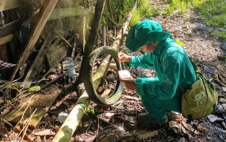 Amazonas registra primeiro caso de Dengue tipo 3 nos últimos 15 anos, aponta FVS-RCP