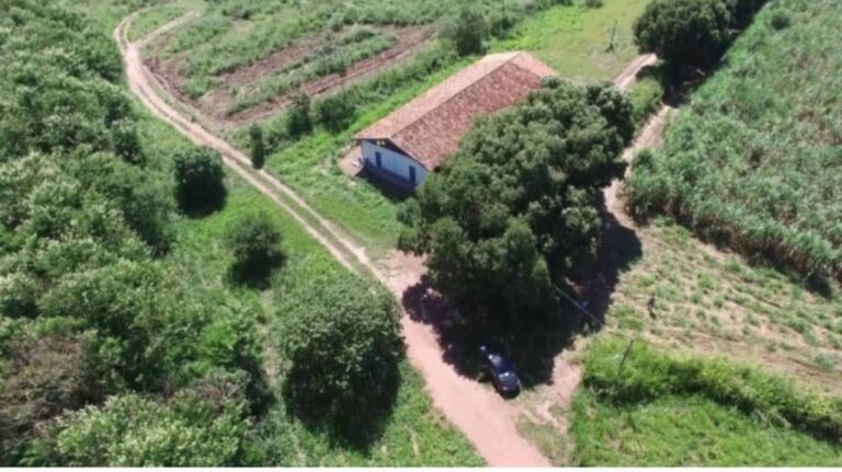 Agricultura familiar é foco do Projeto Gaia, que  promove alimentos agroecológicos no Mato Grosso