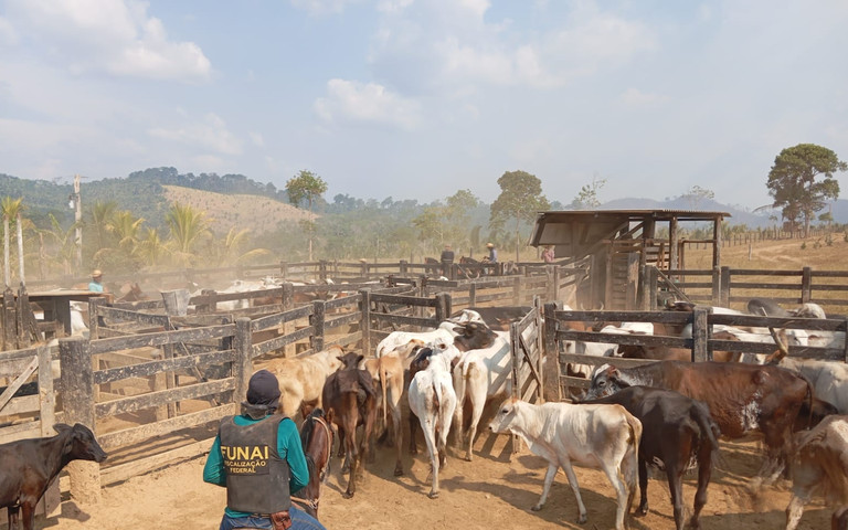 Registros de fazendas ilegais na Terra Indígena Apyterewa são cancelados por recomendação do MPF