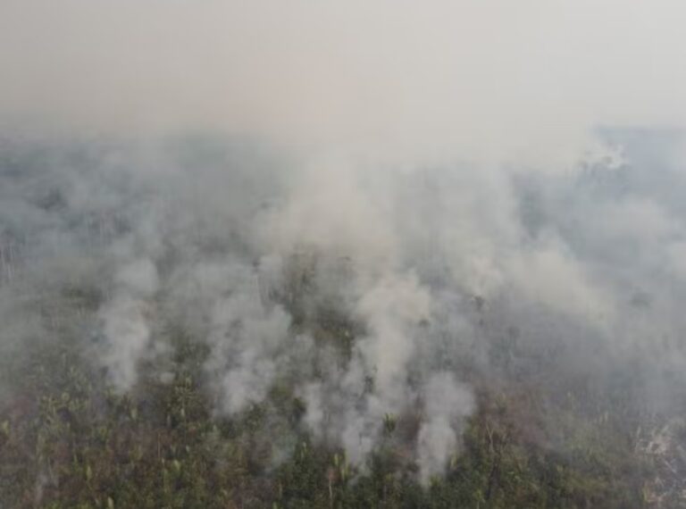 Alvos de normas de redução e extinção, unidades de conservação em Rondônia são destruídas por incêndios