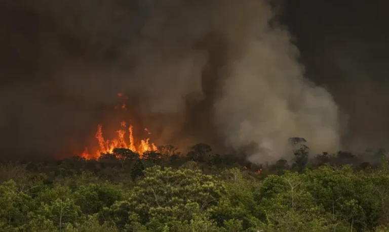 Brasil tem área queimada equivalente ao estado de Roraima em 9 meses