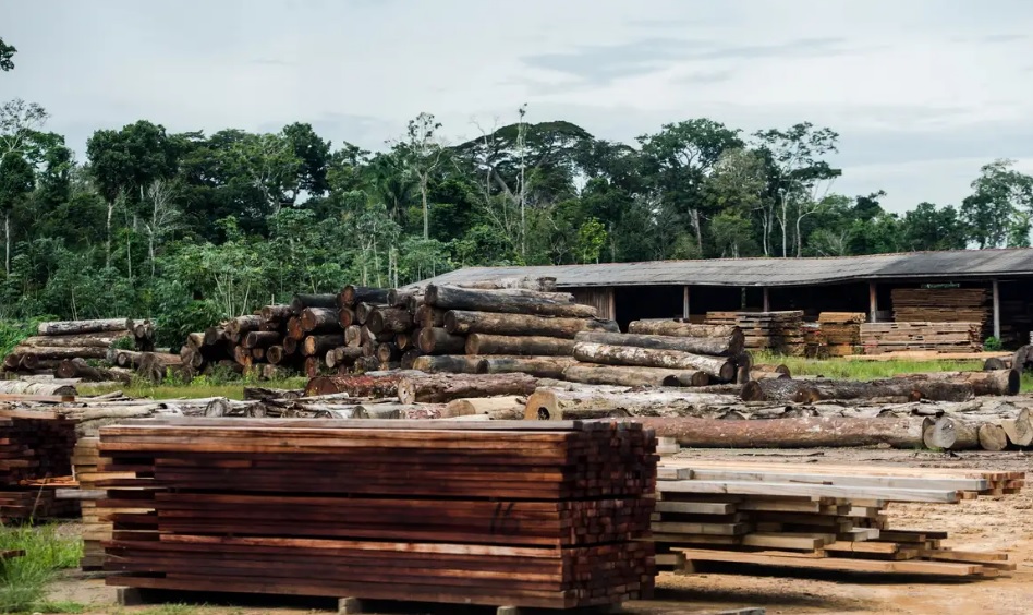 madeira ilegal amazônia