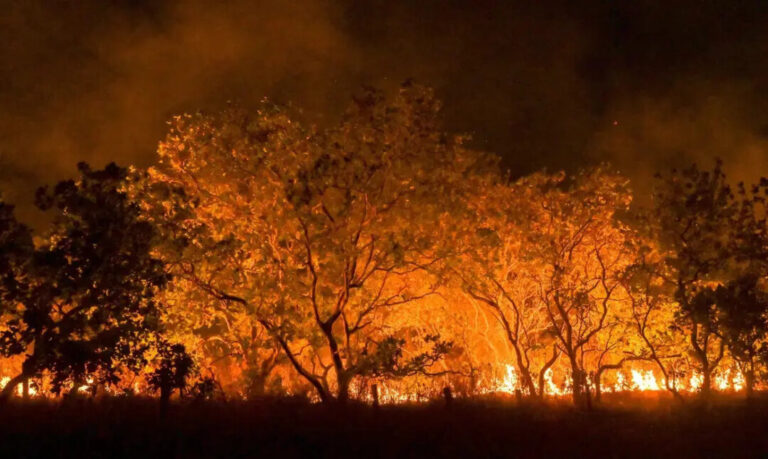 Para 59% dos brasileiros entrevistados no DataSenado, incêndios são causados para criar desordem