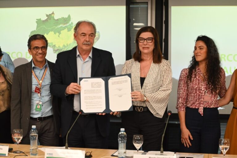 Fundo Amazônia: Petrobras e BNDES assinam parceria para restauração ecológica da região