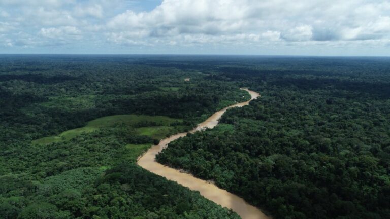 Ponto de não retorno: a Amazônia não tem tempo a perder