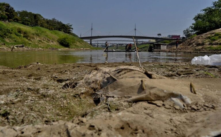 Extremos climáticos e baixa concentração de oxigênio são apontados como possíveis causas da mortandade de peixes no Rio Acre