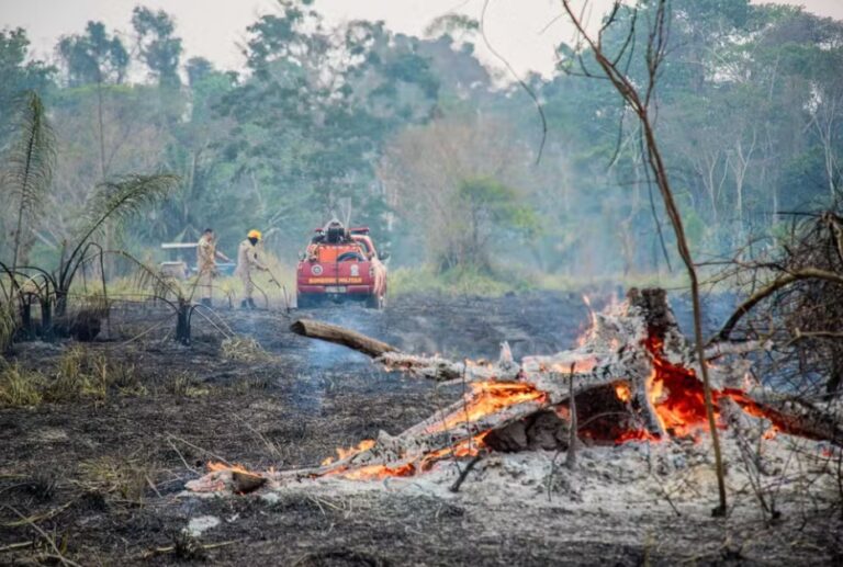 Em 15 dias de novembro, número de queimadas no Acre já chega a 94% do total de todo o mês em 2023