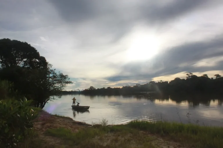COP29: Cientistas mostram como a Amazônia é parte da solução para a crise climática