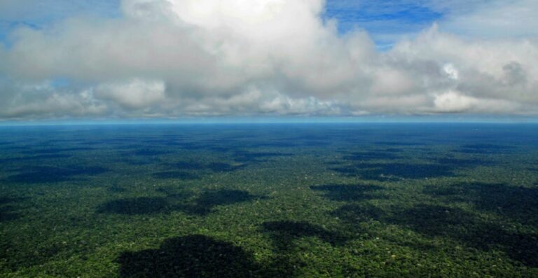 Estudo alerta que quebra da circulação do Atlântico aumentaria risco de colapso da Amazônia