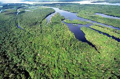 Indígenas Parintintin, no Amazonas, querem vender seus créditos de carbono sem intermediários