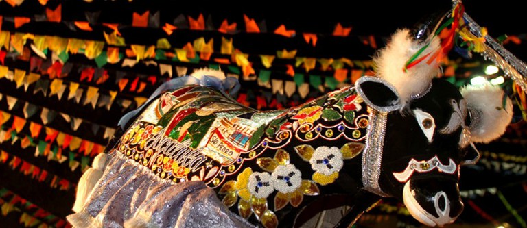 Professora do Tocantins realiza doutorado nos EUA sobre Bumba Meu Boi