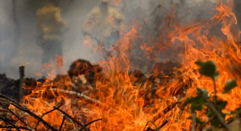 MPF cobra medidas para reforço urgente no combate a megaincêndios em TI no Pará