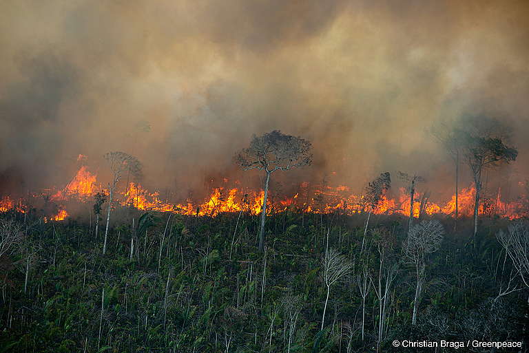 Incêndios na Amazônia queimaram área 10x maior do que a de desmatamento, aponta estudo