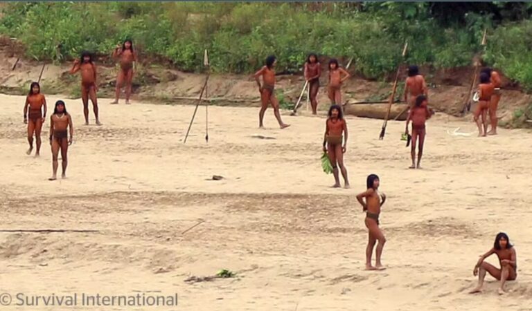 Após seca histórica, povos indígenas no Acre dividem área de terra com risco de conflito, diz entidade