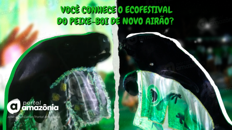 Eco-festival do Peixe-boi de Novo Airão: três décadas lutando pela preservação do peixe-boi