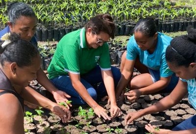 Comunidades quilombolas no Pará contribuem na preservação ambiental e segurança alimentar