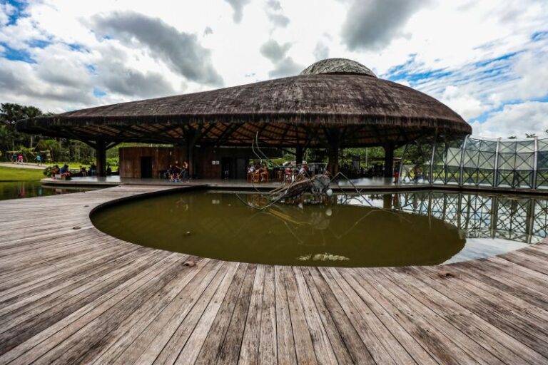 Parque do Utinga bate recorde de visitantes em 2024 e projeta ações para a COP30 em Belém