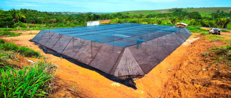 Cafeicultura familiar em Apuí poderá produzir mais de 300 mil unidades de mudas em novo viveiro