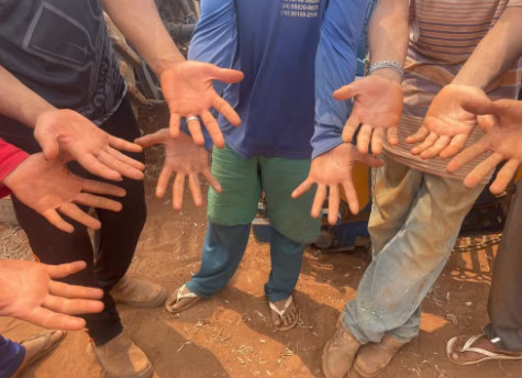 Número de resgate de trabalhadores em condição análoga à escravidão é liderado pelo Amazonas