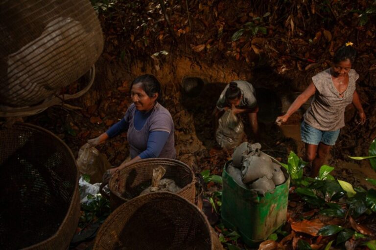 Cerâmica Tukano dá pistas sobre o manejo da floresta amazônica